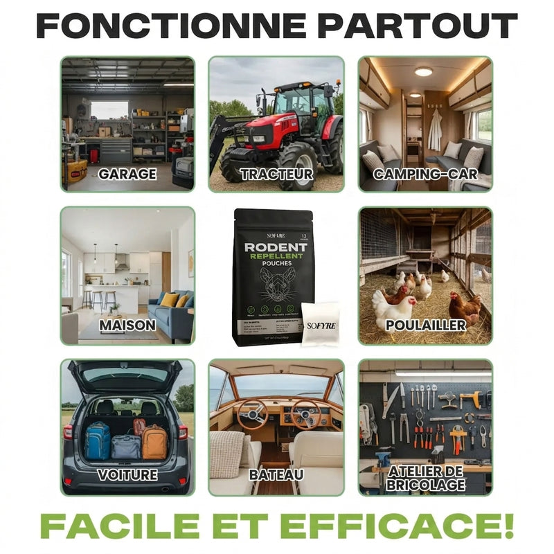 Partout